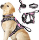 Winsee Pet Harness Collar And Leash Set, All-In-One Reflective Dog Harness No Pull With Adjustable Buckles For Puppies, Small, Medium, Large, And Extra-Large Dogs (Large, Pink)