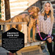 Wolfgang Premium Martingale Dog Collar For Small Medium Large Dogs, Made In Usa, Daydream Print, Xl (1 Inch X 22-29)