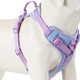 No Pull Dog Harness Adjustable Soft Padded Pet Vest With Control Handle Adorable Daily Harness For Dogs（Spun Sugar M）