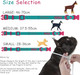 Waterproof Colorful Dog Collar Leash Set：Lightweight Adjustable Quick Release Buckle Dog Collar & Safety Auto-Lock Carabiner Leash For Dogs Cute Fashionable Dog Suit（Viridian Green L）