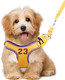 Dog Harness-Sporty Style Escape Proof Dog Harness -Adjustable Reflective Number Dogs Vest With Outdoor Pet Leash, Easy Control For Small,Medium Breeds (Yellow,S)
