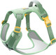 Dog Harness No Pull Pet Harness, Super Adjustable And Wear-Resistant With Reflective Trim Design Extra Soft Padded Dog Vest With Easy Control Handle (Avocado Green, Medium)