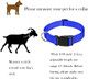 4 Pieces Goat Lead And Goat Collars Set, Nylon 11 Inch Goat Lead With Reflective Strip Design And Nylon Goat Collar For Small Farm Animal Goat Cow Horse Sheep (Blue)
