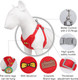 Dog Harness For Small Dogs, Ycpasta Comfortable And Soft Dog Harness Leash Set With Adjustable Reflective Design, No Pulling Dog Harness For Walking Hiking Training, Red L Dog Harness For Small Dogs, Ycpasta Comfortable And Soft Dog Harness Leash Set With Adjustable Reflective Design, No Pulling Dog Harness For Walking Hiking Training, Red L