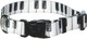 Yellow Dog Design Piano Keys Dog Collar, Small-3/4 Wide Fits Neck Sizes 10 To 14 Yellow Dog Design Piano Keys Dog Collar, Small-3/4 Wide Fits Neck Sizes 10 To 14