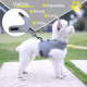 Small Dog Harness And Leash Set Small Pet Harness For Summer, Adjustable Soft Padded Dog Vest For Poodle,Pomeranian,Chihuahua,Minlature Pinscher Under 8Lbs, Solid Grey Mesh Fabric
