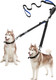 Youthink Double Dog Leash, No Tangle Walking Leash 2 Dogs Up To 180Lbs, Comfortable Adjustable Dual Padded Handles, Bonus Pet Waste Bag (Double Dog Leash) Youthink Double Dog Leash, No Tangle Walking Leash 2 Dogs Up To 180Lbs, Comfortable Adjustable Dual Padded Handles, Bonus Pet Waste Bag (Double Dog Leash)