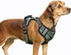 Adjustable Outdoor Pet Harness, Easy Control Padded Reflective Dog Vest Harness, For Small Medium Large Dogs
