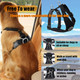 Dog Car Harness Set, 2-In-1 Seat-Headrest Dog Seatbelt, Mesh Breathable Dog Vest Harness With Dog Bowl For Vehicle Travel Daily Use Walking (M)