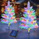 2 Pack White Christmas Tree Outdoor,Solar Powered Christmas Trees with 60 LED C6 Christmas Lights,Pre-lit Small Artificial Xmas Tree for Yard Porch Walkway Pathway Grave Cemetery Christmas Decorations 2 Pack White Christmas Tree Outdoor,Solar Powered Christmas Trees with 60 LED C6 Christmas Lights,Pre-lit Small Artificial Xmas Tree for Yard Porch Walkway Pathway Grave Cemetery Christmas Decorations