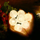 35 FT Globe String Lights Outdoor Commercial Grade Light with 20 G50 Shatterproof LED Bulbs Waterproof Extendable for Indoor Outdoor Wedding Garden Party Christmas Trees Decoration (Warm) 35 FT Globe String Lights Outdoor Commercial Grade Light with 20 G50 Shatterproof LED Bulbs Waterproof Extendable for Indoor Outdoor Wedding Garden Party Christmas Trees Decoration (Warm)