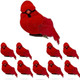 BANBERRY DESIGNS Cardinal Clip-On Christmas Ornaments - Decorations - Red Velvet & Feathers - Set of 10 Pieces - Each Bird is 3" Long BANBERRY DESIGNS Cardinal Clip-On Christmas Ornaments - Decorations - Red Velvet & Feathers - Set of 10 Pieces - Each Bird is 3" Long