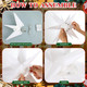 8 Pcs Christmas Large Moravian Star Light Christmas Tree Topper Christmas Advent Star Bethlehem Star Light 3D Hanging Star Light for Outdoor Indoor Christmas Decoration (12 Inch)