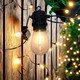 S14 LED 25FT Patio Outdoor String Lights, 8+1 Shatter-Proof LED Bulbs, Hanging Backyard Lights, for Outdoor terraces, Backyard Garden Balcony Decorations, Small Restaurants, and Commercial uses S14 LED 25FT Patio Outdoor String Lights, 8+1 Shatter-Proof LED Bulbs, Hanging Backyard Lights, for Outdoor terraces, Backyard Garden Balcony Decorations, Small Restaurants, and Commercial uses