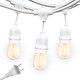 Brightech Ambience Pro Waterproof LED Outdoor String Lights, 48 Ft, Hanging, Dimmable Vintage Edison Bulbs, 15 Bulbs, 2W