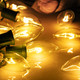 25 Pack C9 Bulbs Clear Replacement Bulbs Incandescent, C9 Christmas Light Bulbs for Christmas String Light, E17 Intermediate Base, 7 Watt, Clear