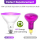Energetic Purpule Par38 LED Flood Outdoor Light Bulb, 16W (90Watt Equi.), Dimmable, E26 Base, for Christmas Halloween Thanksgiving-Party Decoration, Porch, Home, Holiday Lighting, UL Listed, 2 Pack Energetic Purpule Par38 LED Flood Outdoor Light Bulb, 16W (90Watt Equi.), Dimmable, E26 Base, for Christmas Halloween Thanksgiving-Party Decoration, Porch, Home, Holiday Lighting, UL Listed, 2 Pack