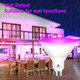 Energetic Purpule Par38 LED Flood Outdoor Light Bulb, 16W (90Watt Equi.), Dimmable, E26 Base, for Christmas Halloween Thanksgiving-Party Decoration, Porch, Home, Holiday Lighting, UL Listed, 2 Pack Energetic Purpule Par38 LED Flood Outdoor Light Bulb, 16W (90Watt Equi.), Dimmable, E26 Base, for Christmas Halloween Thanksgiving-Party Decoration, Porch, Home, Holiday Lighting, UL Listed, 2 Pack