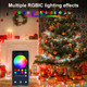 Color Changing Christmas Lights Outdoor, 196FT 600 LED RGB String Lights, App Controlled, Music/Voice Synchronized, for Halloween, Christmas, Yard and Garden Decoration
