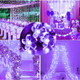 FULLBELL String Lights, Purple Lights Room Decor Flower String Lights 33 Feet 100LED 8 Modes Wedding Party Indoor Outdoor Flower Lights LED Lights for Bedroom Birthday Decorations (Purple)