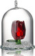 H&D HYALINE & DORA H&D Crystal Rose Flower Figurine Dreams Ornament in a Glass Dome s for her (Red)