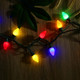 C7 Bulbs Classic Christmas Lights - 50 LED 31ft Strawberry String Light - Extendable 8 Modes Funtion with Timer Fairy Lighting for Outdoor, Indoor, Party, Home, Tree Decorations C7 Bulbs Classic Christmas Lights - 50 LED 31ft Strawberry String Light - Extendable 8 Modes Funtion with Timer Fairy Lighting for Outdoor, Indoor, Party, Home, Tree Decorations