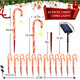 HELESIN 24Pack Candy Cane Christmas Lights Waterproof and Durable Candy Cane Lights Solar Candy Cane Lights Outdoor Yard, Patio, Garden Decorations