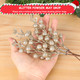 HOHOTIME 36Pcs Christmas Glitter Berries Stems, 9.5 Inch Artificial Christmas Tree Picks for Christmas Tree Decorations Ornaments DIY Crafts Vases Holiday Wedding Home Xmas Decor(Champagne) HOHOTIME 36Pcs Christmas Glitter Berries Stems, 9.5 Inch Artificial Christmas Tree Picks for Christmas Tree Decorations Ornaments DIY Crafts Vases Holiday Wedding Home Xmas Decor(Champagne)