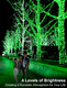 JXLEDAYY 1000 LED Christmas Lights, 403 FT Christmas Lights Outdoor Waterproof 8 Modes Timer LED String Lights for Xmas Tree Wedding Holiday Party Thanksgiving Decoration-Green