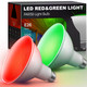 LOHAS Red Green Flood Light Bulbs, PAR38 LED Flood Light Outdoor 100W Equivalent, 15 Watt Colored Porch Light Bulb, E26 Base Ideal for Home Lighting, Holiday, Party Decoration, 2 Pack