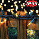 Christmas String Light,100 Count Incandescent Mini String Light for Indoor & Outdoor Use (Yellow) Christmas String Light,100 Count Incandescent Mini String Light for Indoor & Outdoor Use (Yellow)