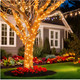 LUCKY SHINE 200 Clear Warm Christmas Lights, 2 Sets100 Light with White Wire 66 Foot, UL and Commercial Grade, for Indoor and Outdoor Party, Patio, Trees, Garden. LUCKY SHINE 200 Clear Warm Christmas Lights, 2 Sets100 Light with White Wire 66 Foot, UL and Commercial Grade, for Indoor and Outdoor Party, Patio, Trees, Garden.