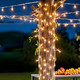 LUCKY SHINE 200 Clear Warm Christmas Lights, 2 Sets100 Light with White Wire 66 Foot, UL and Commercial Grade, for Indoor and Outdoor Party, Patio, Trees, Garden. LUCKY SHINE 200 Clear Warm Christmas Lights, 2 Sets100 Light with White Wire 66 Foot, UL and Commercial Grade, for Indoor and Outdoor Party, Patio, Trees, Garden.