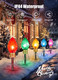 Minetom Strawberry C9 Christmas Jumbo Lights, 2 Pack 10.5 Feet 5 Lights Multicolor Bulb Christmas Pathway Lights Outdoor C7 Lights Covered Jumbo Multicolor Light Bulb Decorations for Lawn Outside Minetom Strawberry C9 Christmas Jumbo Lights, 2 Pack 10.5 Feet 5 Lights Multicolor Bulb Christmas Pathway Lights Outdoor C7 Lights Covered Jumbo Multicolor Light Bulb Decorations for Lawn Outside