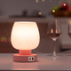 Touch Bedside Table Lamp - Pink Small Lamp for Bedroom with USB C+A Charging Ports 3 Way Dimmable, Nightstand Desk lamp with Glass Lamp Shade Warm LED Bulb Included, Simple Design Christmas Touch Bedside Table Lamp - Pink Small Lamp for Bedroom with USB C+A Charging Ports 3 Way Dimmable, Nightstand Desk lamp with Glass Lamp Shade Warm LED Bulb Included, Simple Design Christmas