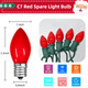 Waterproof UL Red Replacement Bulbs Christmas Tree Light Bulbs for Indoor and Outdoor Decoration with 25 Pack, C7/E12 Base, 5 Watt