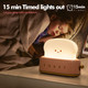 QANYI Cute Desk Decor Toaster Lamp, Kawaii LED Toast Bread Night Light Rechargeable and Portable Light with Timer, Christmas s Ideas for Baby Kids Girls Teens Teenages