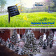 QITONG 2 Pack d PVC Solar Fairy Lights, Each 33ft 100 LED White Solar Christmas Lights Outdoor Waterproof, 8 Modes White Solar Lights Outdoor Waterproof QITONG 2 Pack d PVC Solar Fairy Lights, Each 33ft 100 LED White Solar Christmas Lights Outdoor Waterproof, 8 Modes White Solar Lights Outdoor Waterproof