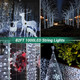 Quntis 82ft 1000 LED Cluster Christmas String Lights - 8 Modes Christmas Tree Lights - Outdoor Waterproof Dark Green Wire Christmas Lights Plug in for Holiday Wedding Party Home Decor, White