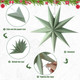 ReliThick 6 Pcs Star Paper Lanterns 12 Inch 9 Pointed Christmas Hanging Lamp Neutral Sage Green Christmas Ornaments Vintage Farmhouse Paper Decorations Xmas Party Decorations ReliThick 6 Pcs Star Paper Lanterns 12 Inch 9 Pointed Christmas Hanging Lamp Neutral Sage Green Christmas Ornaments Vintage Farmhouse Paper Decorations Xmas Party Decorations