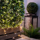 Green Wire Fairy Lights Plug in 100FT High Bright 300 LED Waterproof LED String Lights with Remote Warm White for Christmas Tree, Patio, Garden, Backyard