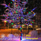 39Ft 100 LED Solar C6 LED Christmas Lights Outdoor, 8 Modes C6 Strawberry Multicolored String Lights Outdoor Waterproof Rechargeable Garden Lights for Christmas Tree, Holiday, Patio, Arbor Decor