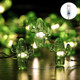 Starryfill Tropical Themed Small Cactus USB-Plugin String Lights 0.8"(H) 40 LED with Remote Control and Timer On 13.85ft Copper Wire Warm White Waterproof Warm White for Decorations Starryfill Tropical Themed Small Cactus USB-Plugin String Lights 0.8"(H) 40 LED with Remote Control and Timer On 13.85ft Copper Wire Warm White Waterproof Warm White for Decorations