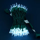 100 Cool White One-Piece LED Christmas Lights, 33 ft Green Cord High Waterproof UL T5 Outdoor String Lights (Cool White)