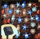 Bartlett Ocean Solar Lights Outdoor- 14ft 40LED Sea Life Décor Turtle Seahorse Shell Starfish-Waterproof Solar Fairy Lights for Outside Christmas Balcony Garden Yard Patio Fence Decoration Bartlett Ocean Solar Lights Outdoor- 14ft 40LED Sea Life Décor Turtle Seahorse Shell Starfish-Waterproof Solar Fairy Lights for Outside Christmas Balcony Garden Yard Patio Fence Decoration