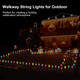 Christmas Lights Outdoor 20 Pathway Lights - 24.2ft Multicolor Walkway Lights with Stakes, C9 Driveway Lights for Outside Yard Garden, Extendable for Xmas Holiday Decorations, 20 Lights