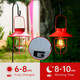 2 Pack Solar Lights Lantern Lamp with Shepherd Hook, Christmas Outdoor Decor, Solar Lantern,Metal Waterproof Edison Bulb Lights , Outdoor Garden Decorations Lights for Yard and Pathway (Red)