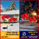 VIHOSE 2 Pcs Christmas Solar Flowers Lights Artificial Poinsettia Flower Landscape Light Waterproof Solar Poinsettia Lights for Outdoor House Yard Lawn Patio Garden Pathway Christmas Party Supplies