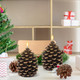 Wondise Flameless Candles with Timer, Battery Operated Flickering 3D Wick Real Wax Pine Cone Candles for Christmas Indoor Decoration, Set of 2, Brown(D3.5 x H6 Inch)