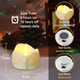 48 Pack Flameless Timer Tea Lights Battery Operated, Flickering LED Timer Votive Candles, Outdoor Flicker Electric Fake Tealight Candles Bulk for Halloween Pumpkin Light Christmas Decorations